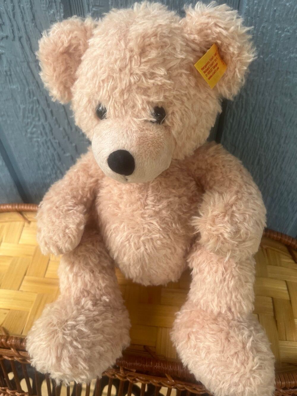 Steiff “Flynn” Teddy Bear